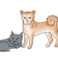 luttoanimale